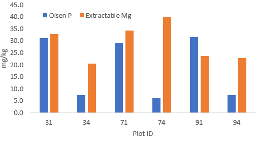 Example data: Soil Olsen-P and extractable Mg