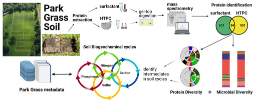 Complementary extraction methods to identify Park Grass soil metaproteome (from Quinn et al., 2022)
